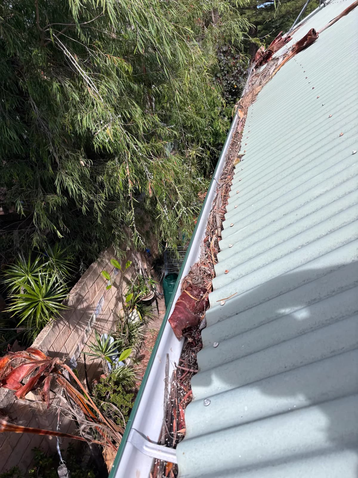 Before — South Lake